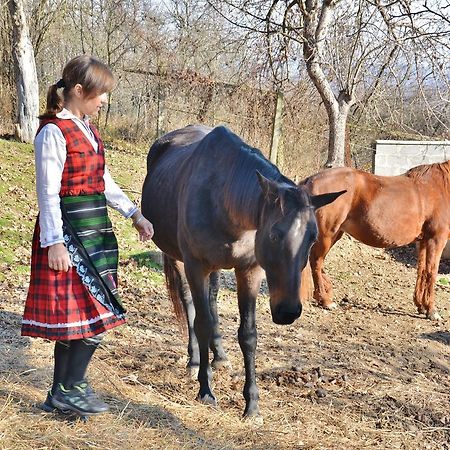 ホテルEcopark エレナ エクステリア 写真