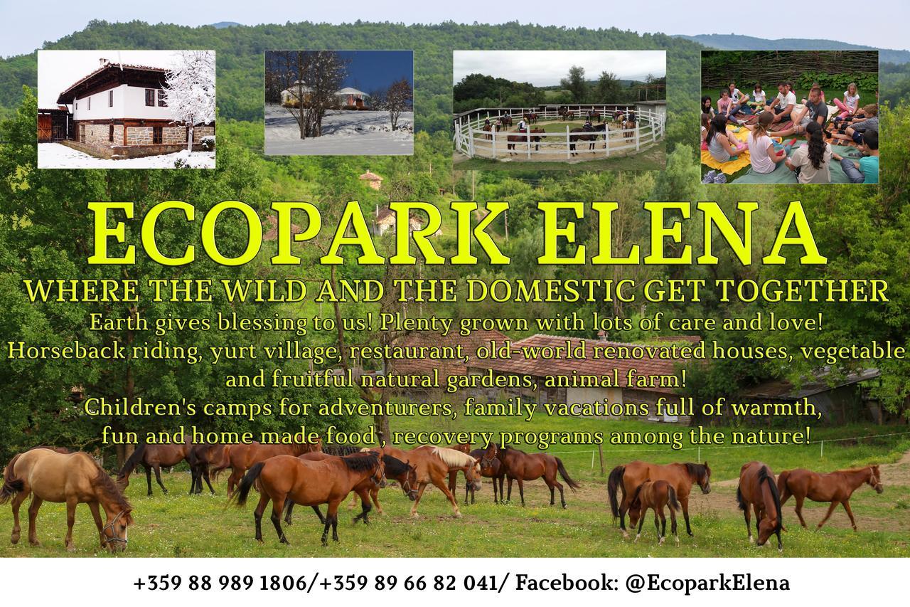 ホテルEcopark エレナ エクステリア 写真