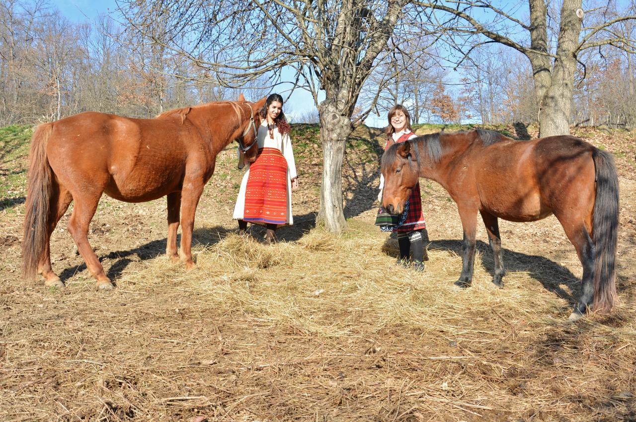 ホテルEcopark エレナ エクステリア 写真