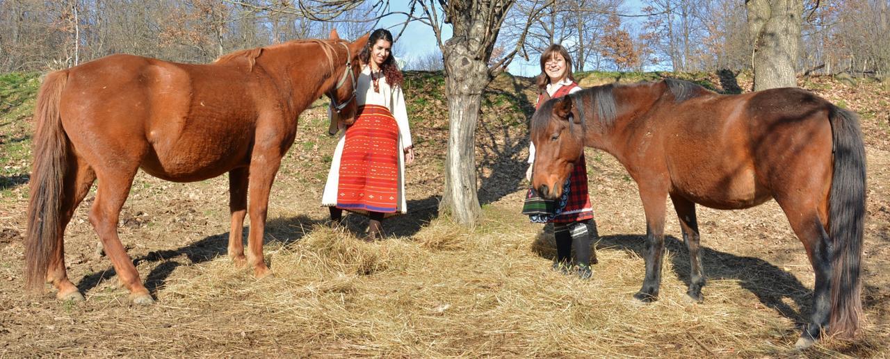 ホテルEcopark エレナ エクステリア 写真